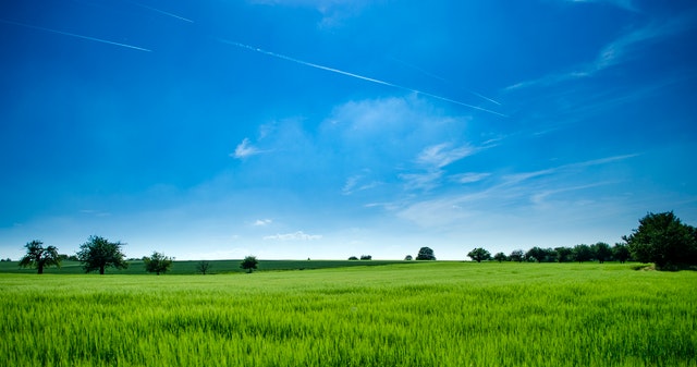 background image of field